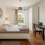Perla Vrh (Krk)